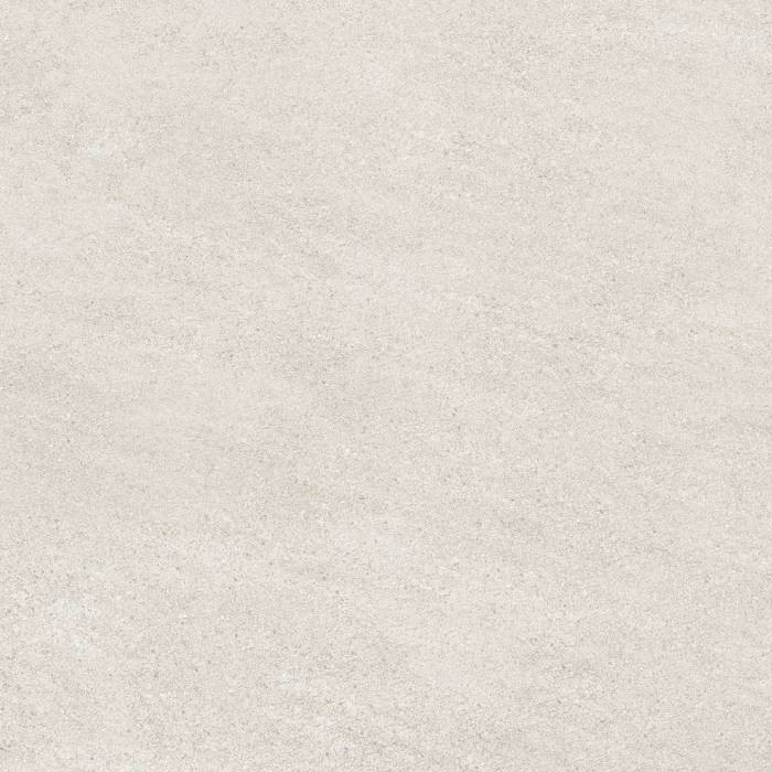 Colorker Lander Bone