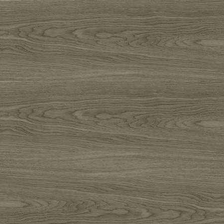 Ragno Woodsoft Tortora