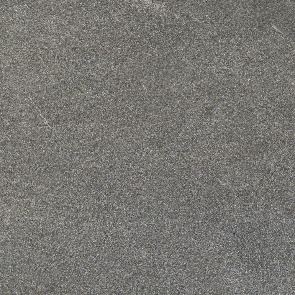 Ragno Cardoso Grigio