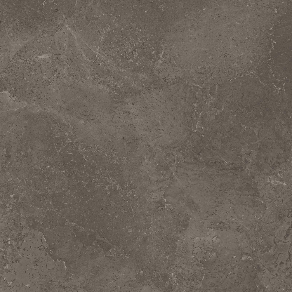 Ragno Bistrot Augustus