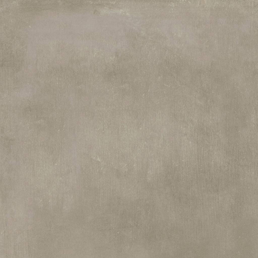 Ragno Studio Tortora