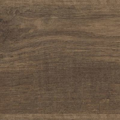 Ragno Freetime Marrone