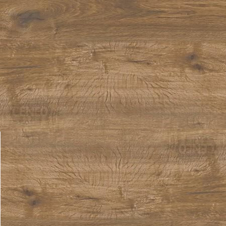 Ragno Woodtale Quercia