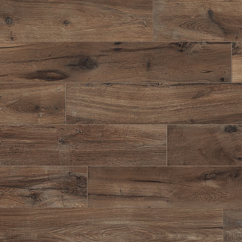 Ariana Legend Havana