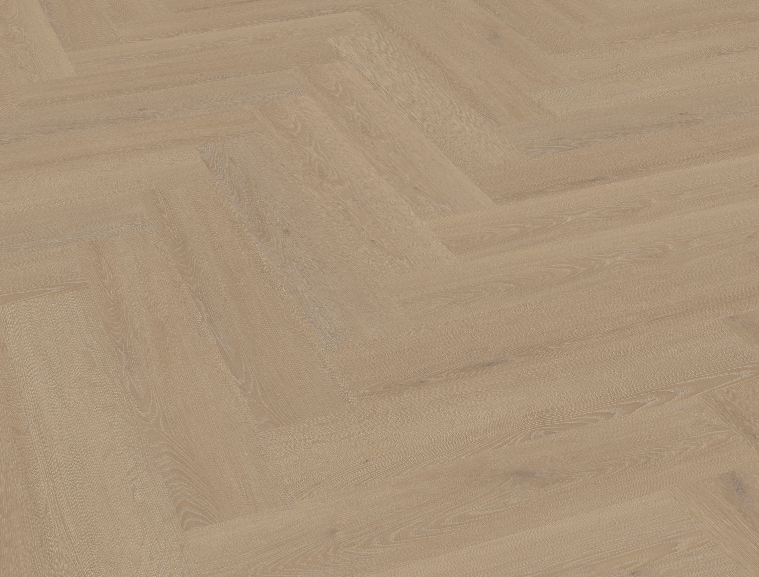Cervo Walvisgraat W21