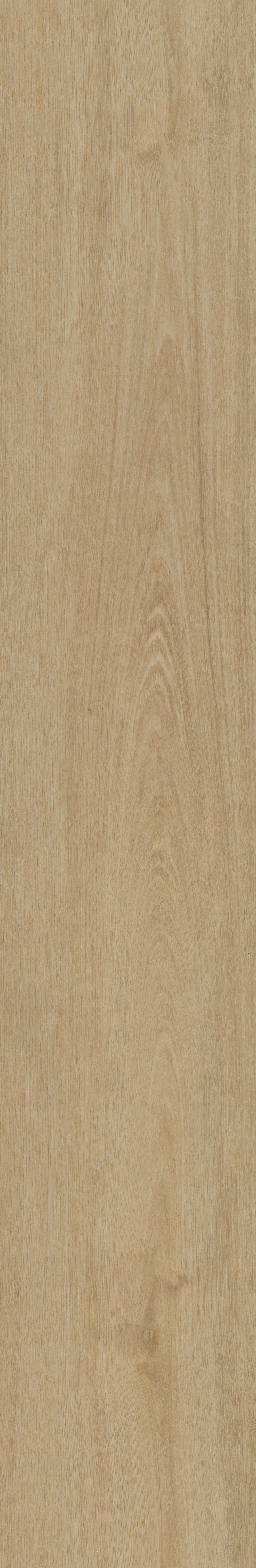 Portico 560 | Rigid Click