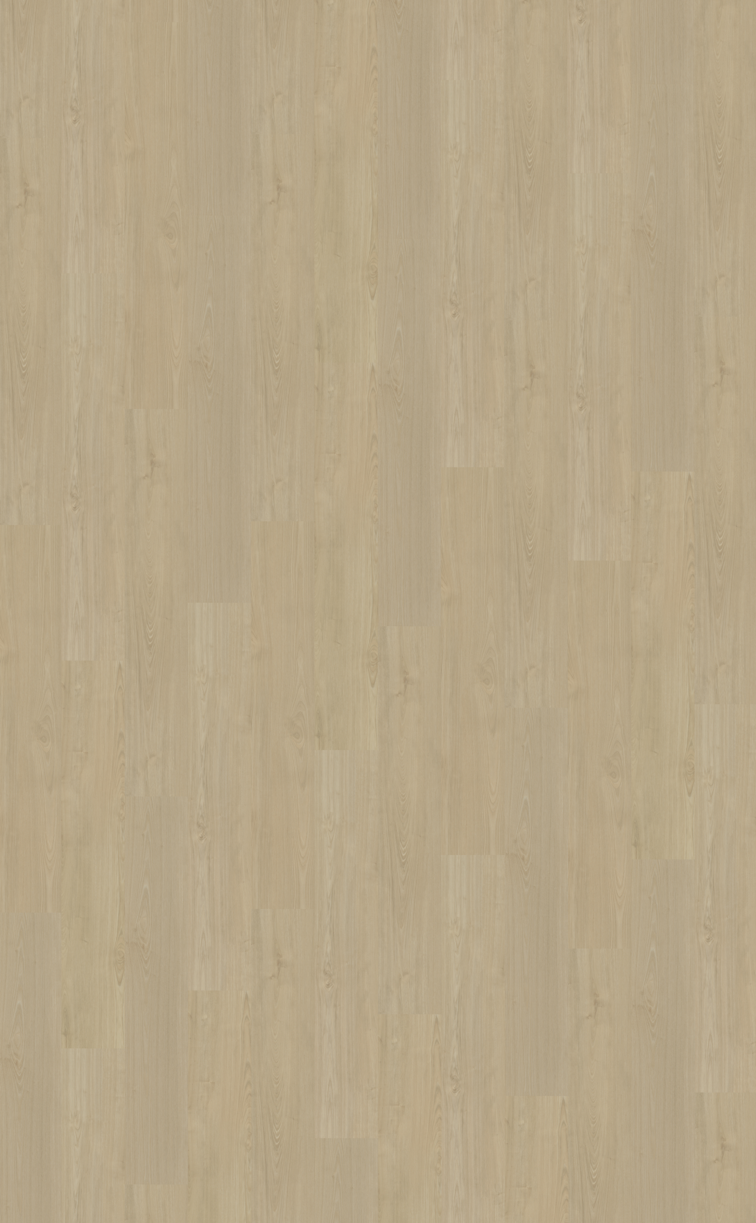 Portico 570 | Rigid Click
