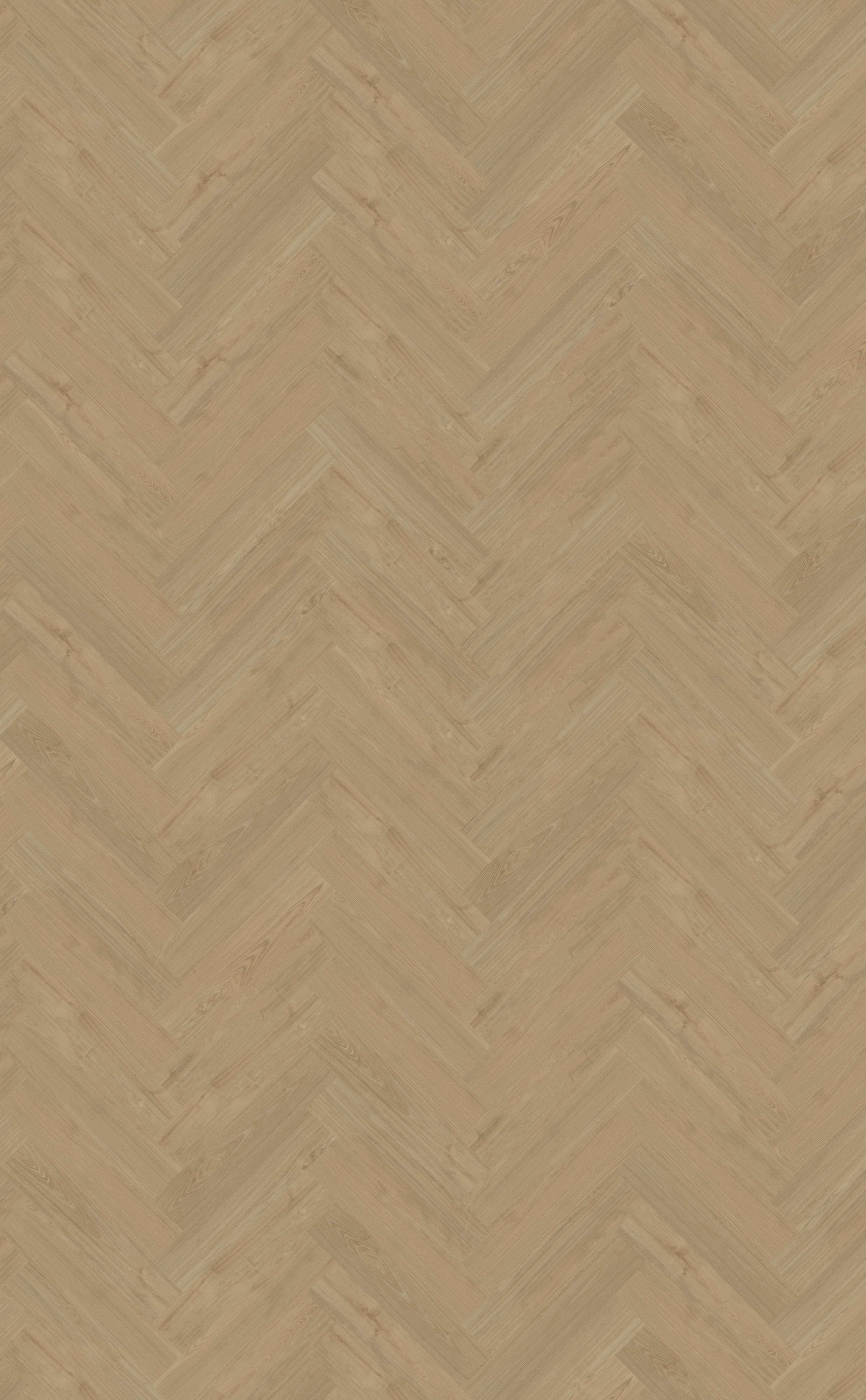 Portico visgraat XL 54 | Rigid Click