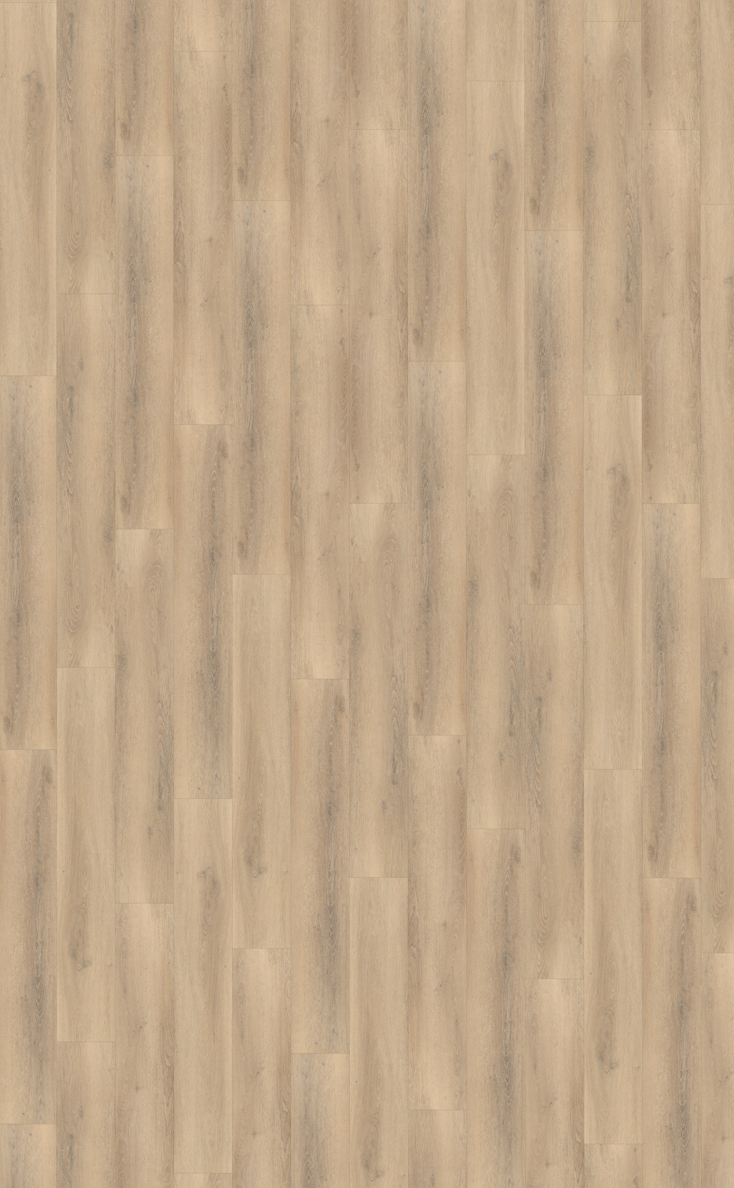 Palazzo 750 Rigid Click
