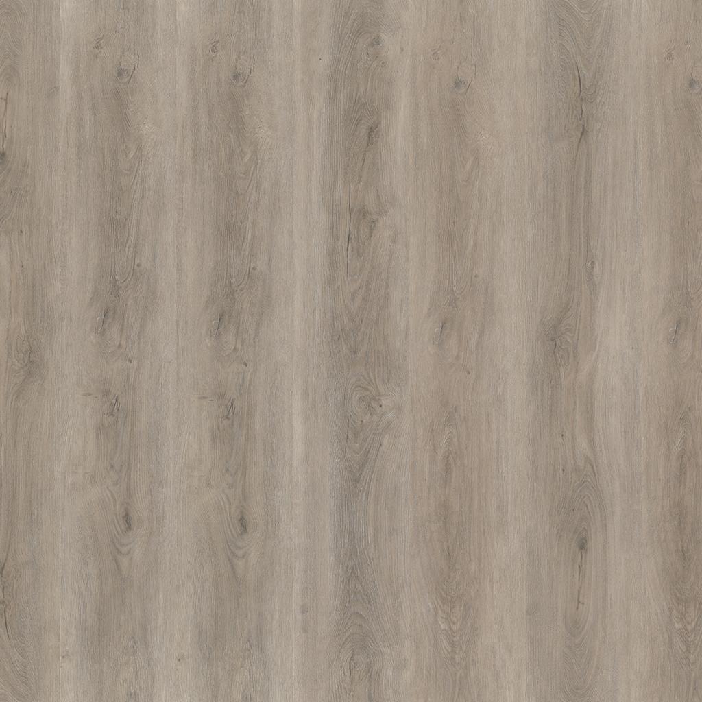 ROBUSTO DRYBACK LIGHT GREY