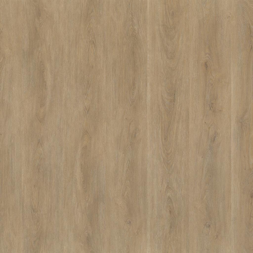 ROBUSTO DRYBACK NATURAL OAK