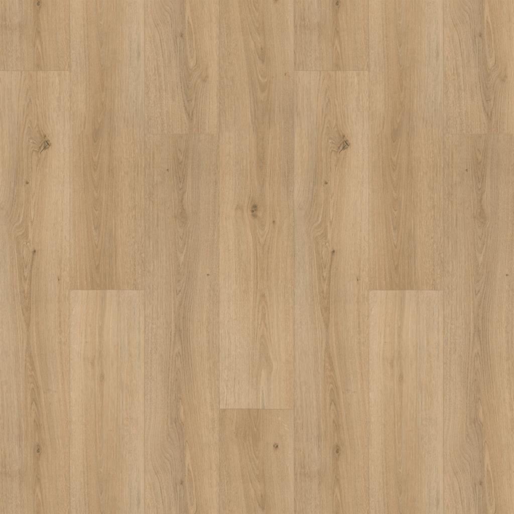 SUPREME 40 EIKEN XL NATUREL 6901