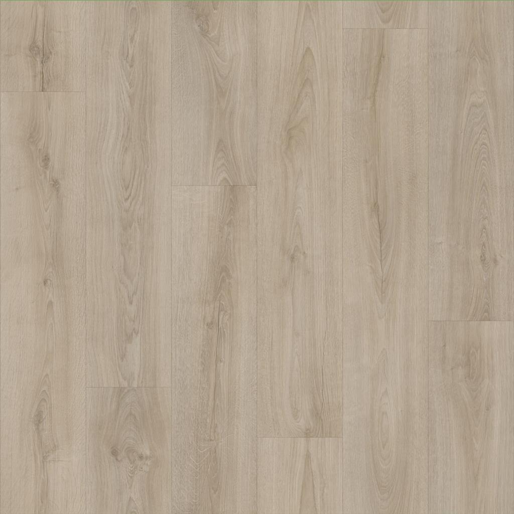 SUPREME 50 SUNDANCE EIKEN BRUIN 4300
