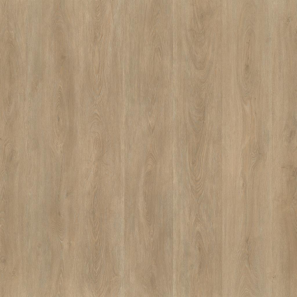 ROBUSTO DRYBACK NATUREL