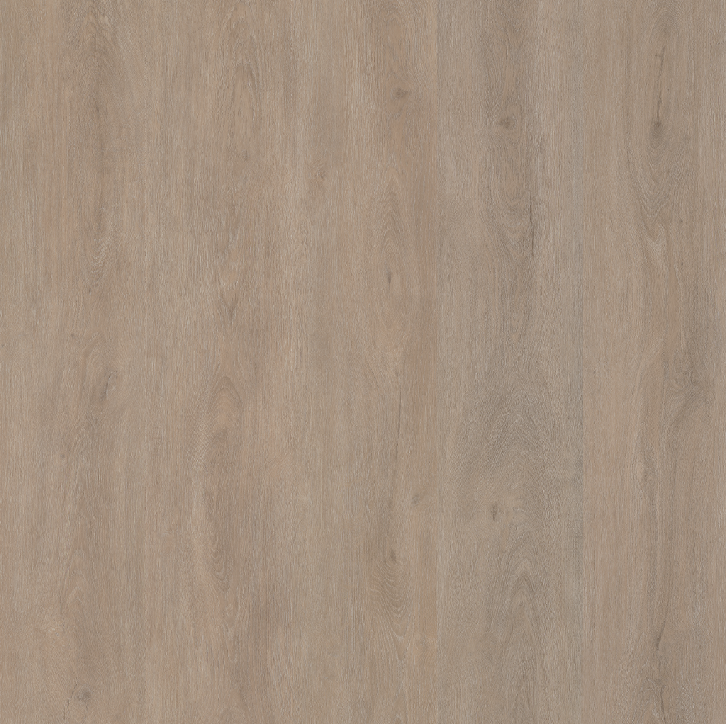 ROBUSTO DRYBACK LIGHT OAK