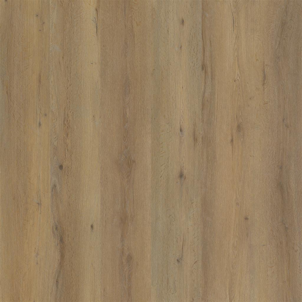 VIVERO CLICK SRC SMOKY