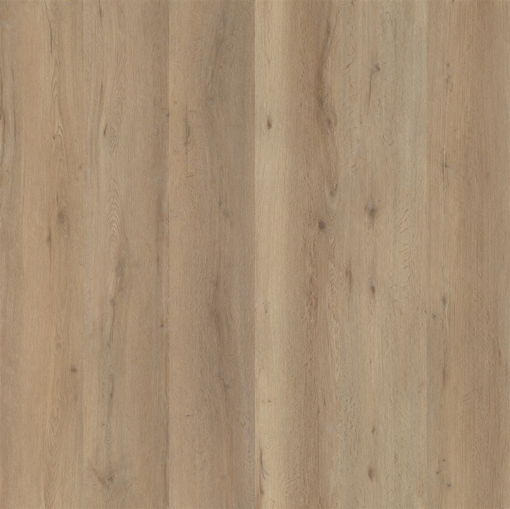 VIVERO CLICK SRC NATURAL OAK