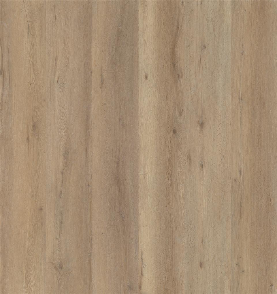 A4 STAAL VIVERO DRYBACK BEIGE