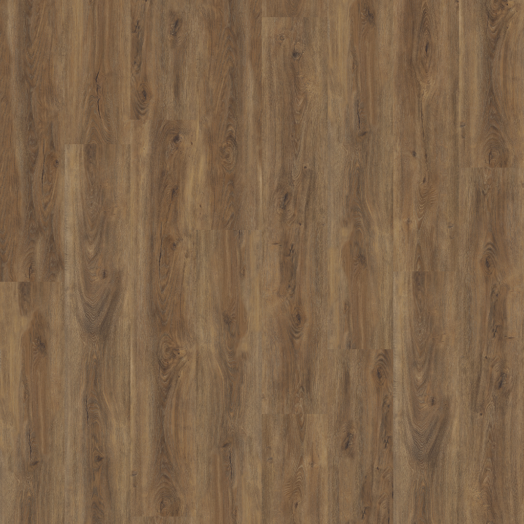 ROBUSTO CLICK SRC WARM BROWN
