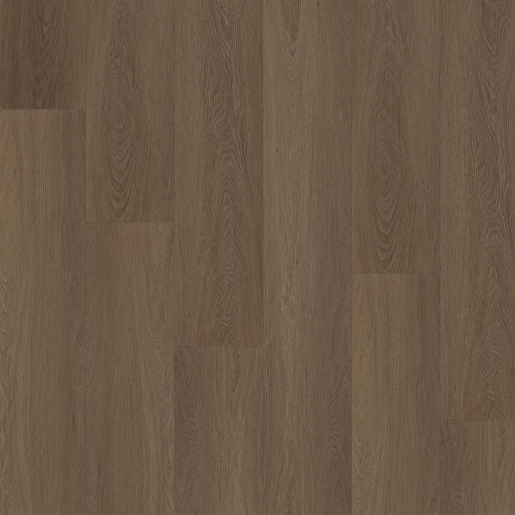 ESTINO CLICK SRC BROWN