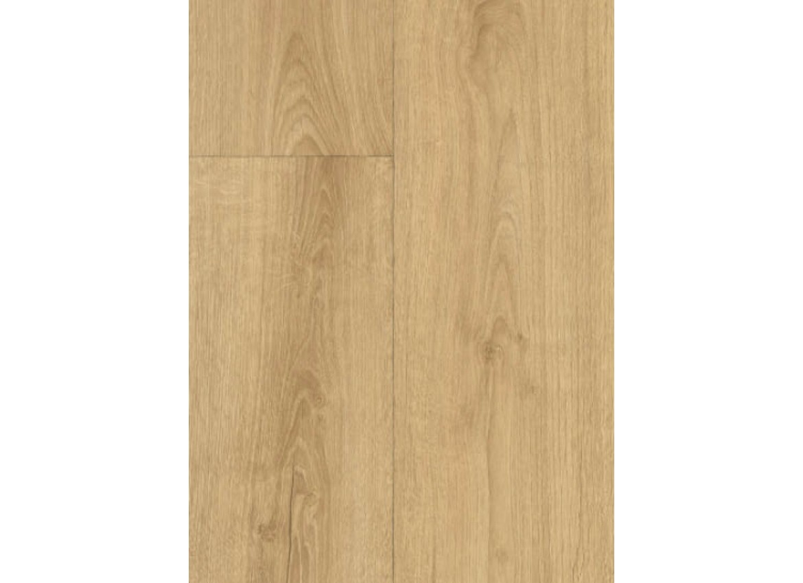 Lugano S41 S41