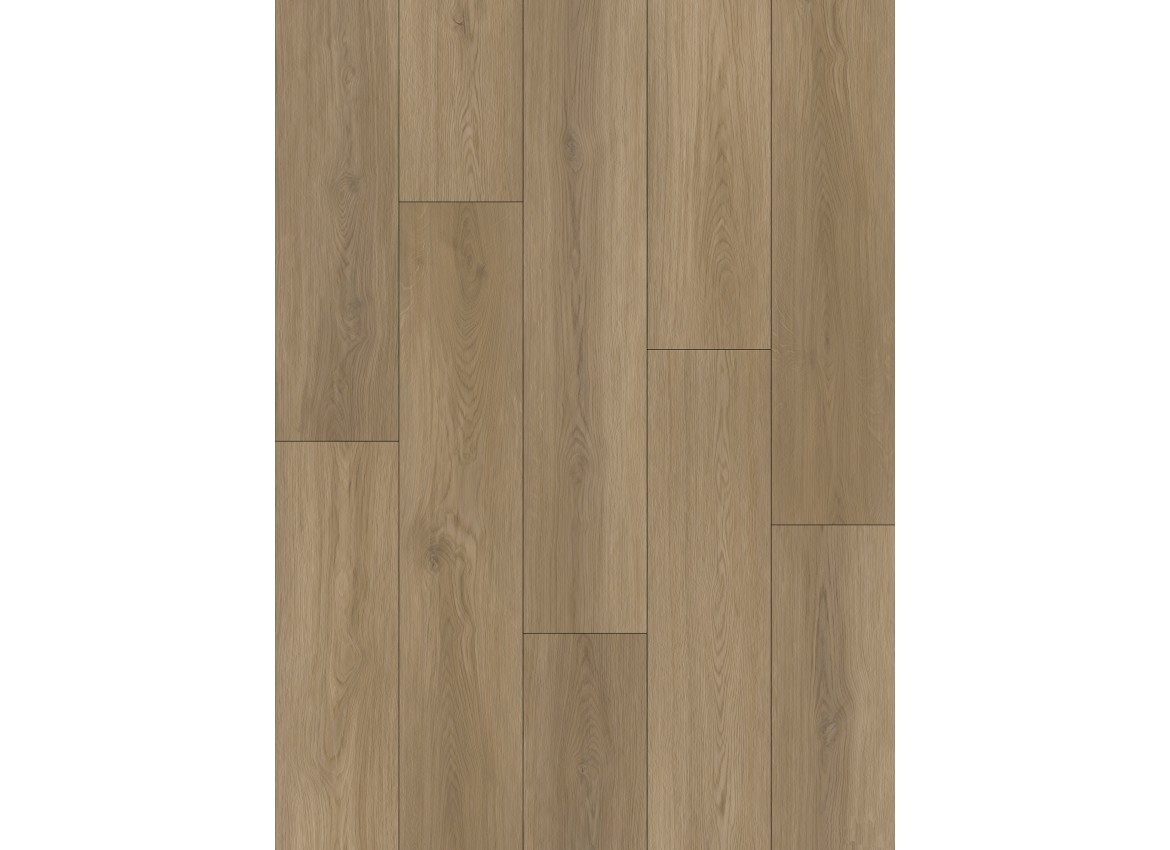 Dynamic 2501 (dryback) Natural smoked