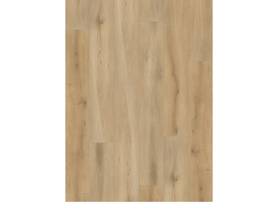 Dynamic 2500 (dryback) Natural light