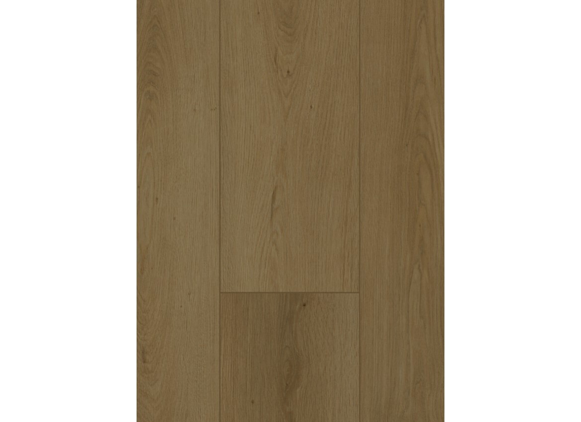 Firmfit 6702 (dryback) Summerfield Cinnamon