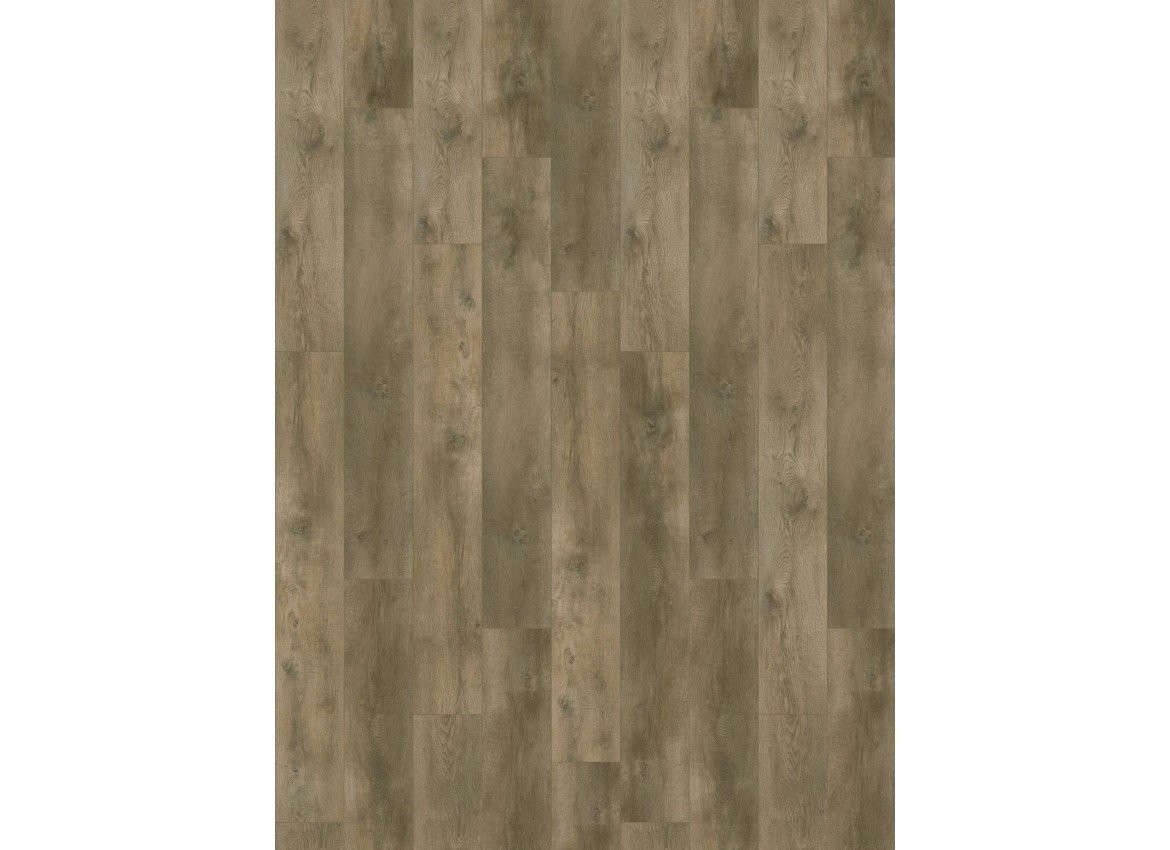 Nevada 6001 (dryback) Valley Oak Pepper
