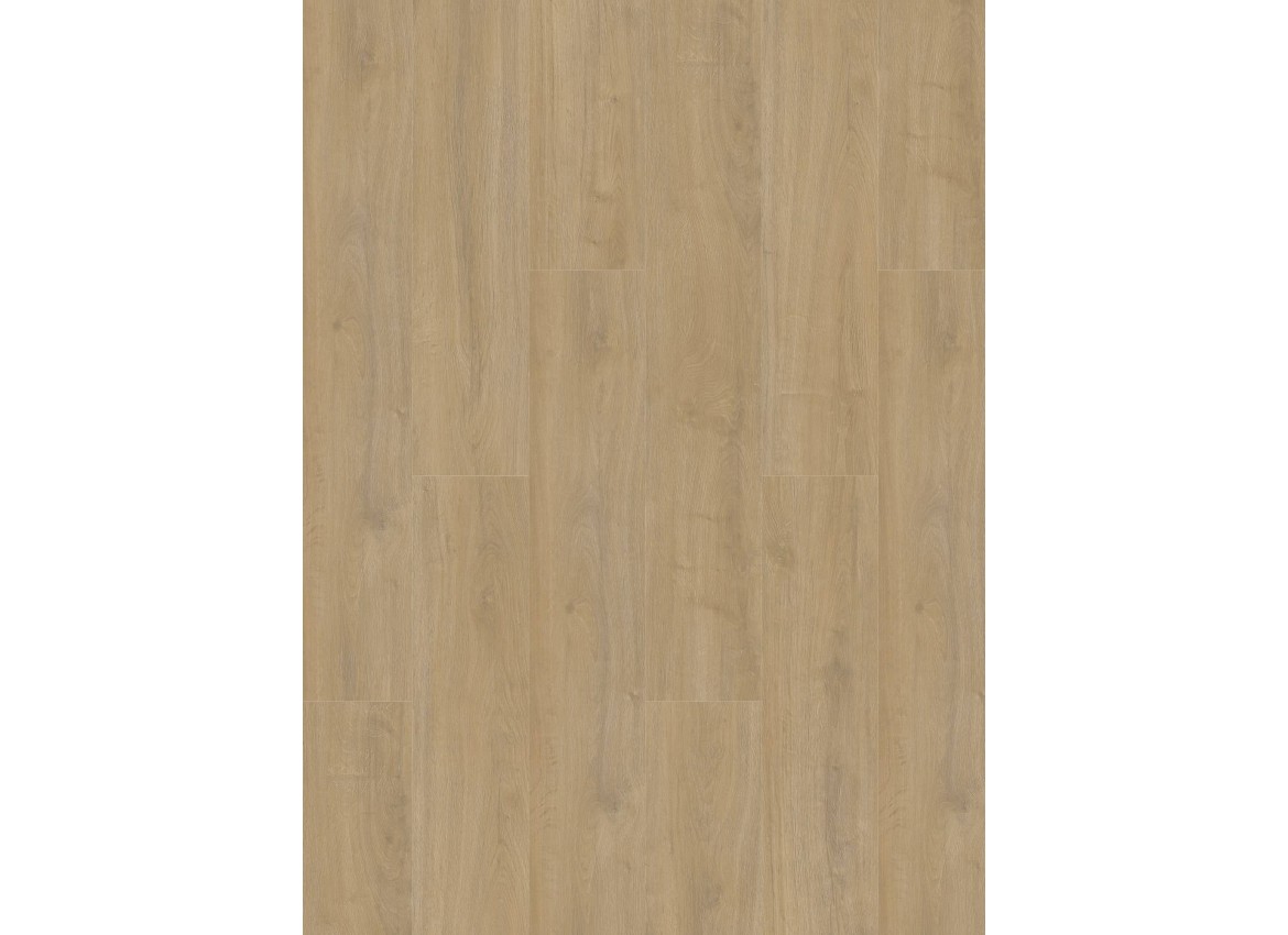 Oakland 6100 (dryback) Lime
